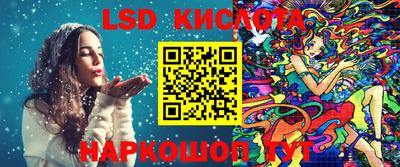 спиды Славгород