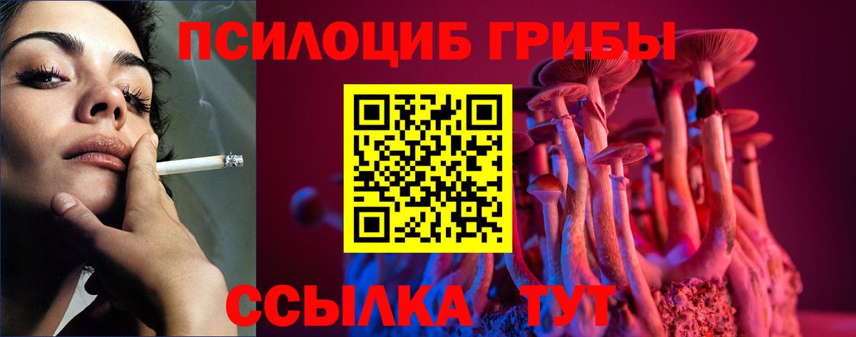 Галлюциногенные грибы мухоморы Октябрьский